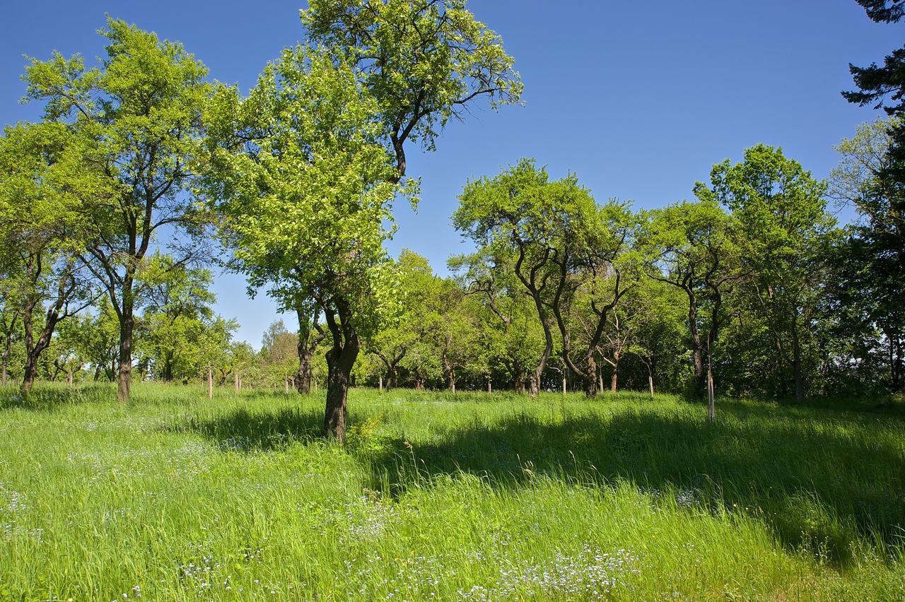Zamek Ratmerice - Hotel & Resort Bagian luar foto